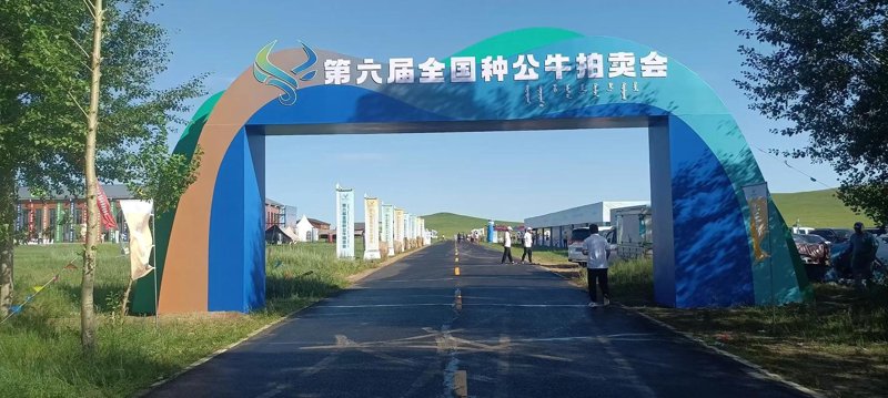 开业庆典策划：点亮城市新画卷